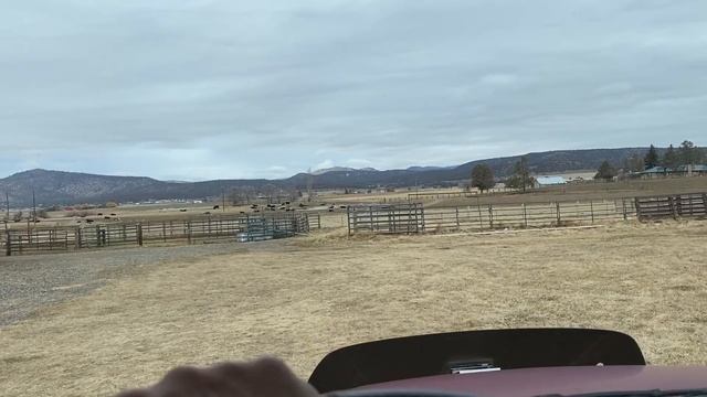 1087 Дальнобой. Почти дома. смотреть онлайн