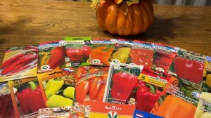 ЛУЧШИЕ СРОКИ ПОСЕВА ПЕРЦА И БАКЛАЖАН! Всё о способе выращивания