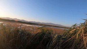 Открытие осеннего сезона охоты на водоплавающую дичь 2023