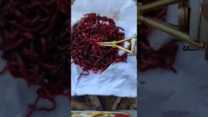 Пучковяз для мотыля, супер штука из Китая!