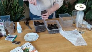 СЕЕМ И ВЫРАЩИВАЕМ ПЕРЦЫ И БАКЛАЖАНЫ БЕЗ ОШИБОК / 7 семян