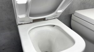 Подвесной унитаз , Какой выбрать