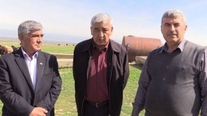 Гиссарские овцы. История племенного завода "Гиссар". Агроэкспедиция по Таджикистану