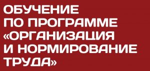 Тихонова О.К. о программе Организация и нормирование труда.mp4
