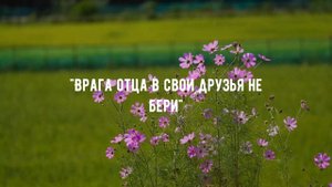 Мудрые Татарские Пословицы и Поговорки | Короткие но Очень меткие Пословицы