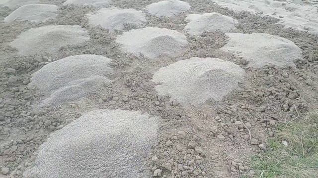 Богатый урожай!!! Как улучшить плодородие тяжелой глинистой почвы Вносим песок и удобрение в землю