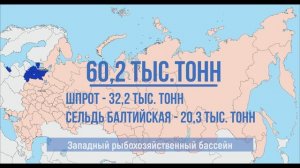 Российские рыбаки идут с превышением к уровню прошлого года в 12% — добыто более 4,2 млн тонн