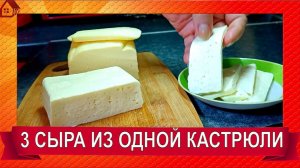 Хватит покупать в магазине! Сделайте сами 3 сорта настоящего сыра: Имеретинский, рикотта, сулугуни.