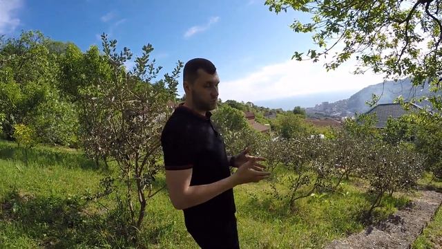 Продажа участка с прямым видом на Море, в Центральном районе Сочи, на Мамайке, по ул. Целинная смотреть онлайн