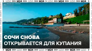 Почти все пляжи в Сочи снова открыли для купания - Москва 24