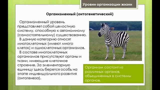 уровни организации жизни