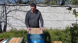 Почему пчелы не идут в магазин. что делать.Как получить товарный мед с рапса со слабых семей