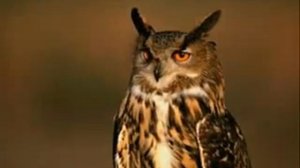 МАСОНСКИЕ СИМВОЛЫ, ЖЕСТЫ, РУКОПОЖАТИЕ; ЧИСЛО ЗВЕРЯ 666  ИЛЛЮМИНАТЫ