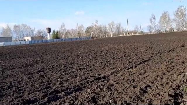 "ШИКУЕМ"-ЗАКАПЫВАЕМ ДЕНЬГИ!!))люцерна-затраты на 1ГА. САМИ В ШОКЕ