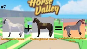 ?Top 15 Horse BREEDS in Horse Valley? | Roblox |