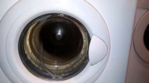 Indesit Evolution WS84TX - Colourfast Cotton standard 60'c