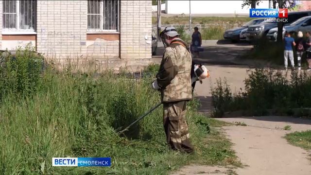 Смоленский «Зеленстрой» расчистил пустырь в деревне Киселевка