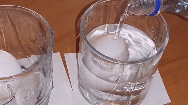 Яйцо + Уксус = Резиновое яйцо. Эксперимент.