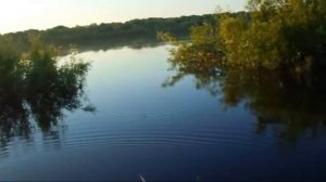 4  браконьерских, Варварских Способах Ловли Рыбы, про которые должен знать каждый рыбак