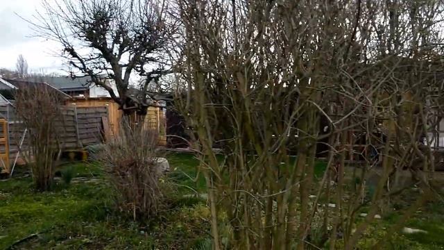 Покупка дачи, весна в саду, ветер разрушил теплицу смотреть онлайн