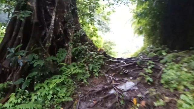 Секумпул - самый красивый водопад на Бали! Часть первая.