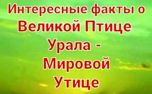 Интересные факты о Великой Птице Ригведы