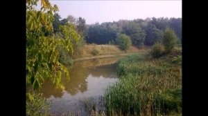 Измайловский совхоз