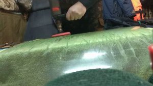 шлифовка лодочного стекла Казанка