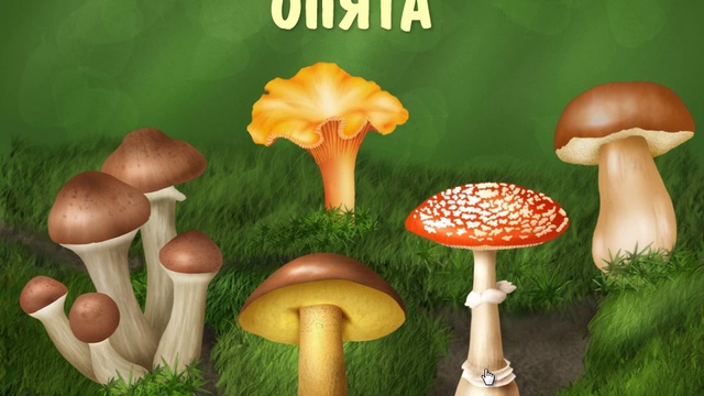 Мультик - учим съедобные грибы.