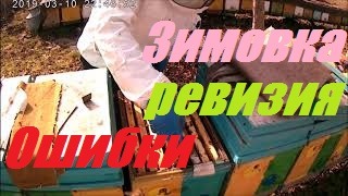 Пасека перезимовала.Двух маточное содержание пчелосемей.Весенняя ревизия пчел.