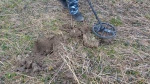 металлокоп 2023 #коп #пинпоинтер Гаррет про принтер #поиск #поискметаллоискателем