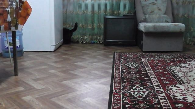 КУЗЯ смотреть онлайн