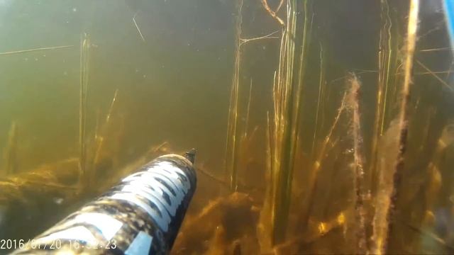 топ озеро.северная Карелия 2016.подводная охота. смотреть онлайн