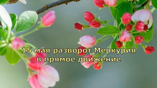 Козерог май 2023 гороскоп. Лунное затмение, Юпитер в тельце, ретроградные Плутон и Меркурий