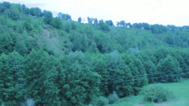 Природа Татарстана