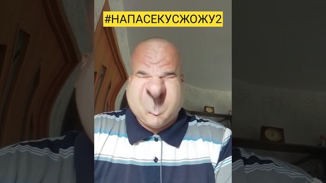 #НАПАСЕКУСХОЖУ2