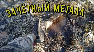 КОП МЕТАЛЛОЛОМА НА ОКРАИНАХ МЁРТВОЙ ДЕРЕВНИ. коп металла. коп 2024