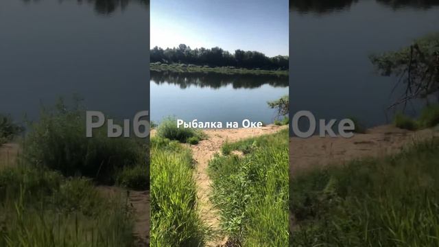 Рыбалка и отдых на Ока . Деревня Дракино