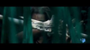 ФОРОРАКОС - ПТИЦА УБИЙЦА | УДИВИТЕЛЬНЫЕ ЖИВОТНЫЕ КАЙНОЗОЯ