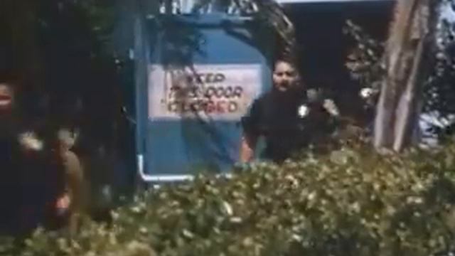 Ace Ventura - Pet Detective Trailer смотреть онлайн