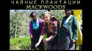 Sri Lanka. Mackwoods. Путеводитель ОС 27. Как добраться до Маквуд