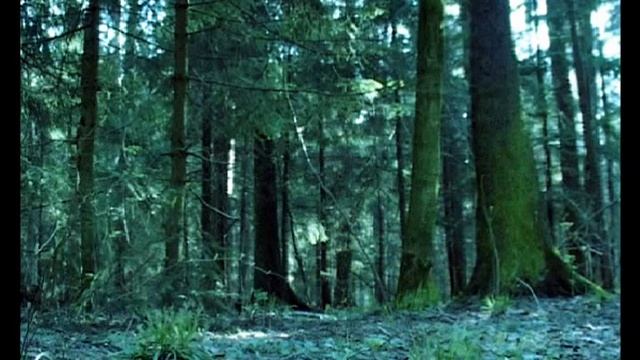 Kolobok смотреть онлайн