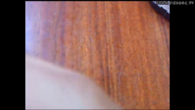 Карабин для мини приманок ! смотреть онлайн