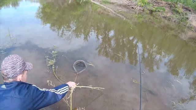 Рыбалка на Голавля. Рыбалка на Фидер. Рыбалка на быстрой реке. Часть 1.  04.06.2022г.