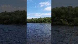 Река Вологда. р.Векса мыс Векса