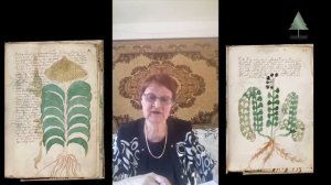 Манускрипт Войнича - техническое пособие на старочешском. Елена Коновалова Древняя рукопись