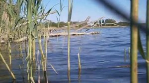 Река Сосыка. Станица Атаманская