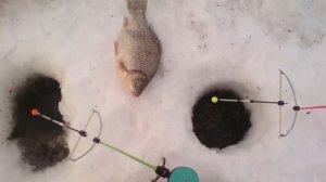 Как ловить карася зимой! Советы для начинающих рыболовов!