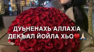 Поздравления с Днём Рождения на чеченском языке
