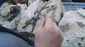 ЖЕРЛИЦА рогатка на щуку своими руками видео Жерлица своими руками